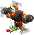 254.png