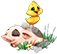 392_thumbnail.png