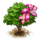 amherstiatree_icon_small.png