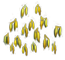 amherstiatree_layer1.png