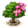 amherstiatree_xl_icon_small.png