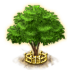 amherstiatree_xxl.png