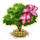 amherstiatree_xxl_icon_small.png