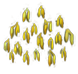 amherstiatree_xxl_layer1.png