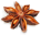 anise_icon_small.png