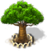 baobab_tree_xl.png