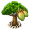 baobab_tree_xl_icon_big.png