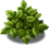 blackeye_plant_layer1.png