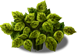 blackeye_plant_layer2.png