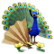 breedingmar2017_peacock_quest-workshop_big.png