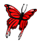 Butterfly_Icon.png