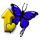 butterfly_stable_01_yellow_small.png