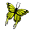 butterfly_stable_02_orange_icon.png