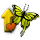 butterfly_stable_02_orange_small.png