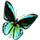 butterfly_workshop_02_orange_breedingicon_small.png