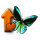 butterfly_workshop_02_orange_small.png