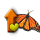 Butterfly_yellow_Workshop_icon_Small.png