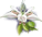 cardamom_icon_small.png