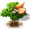 cashew-tree_icon_big.png