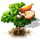 cashew-tree_icon_small.png
