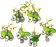 cashew_tree_layer1.png