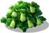 chayote_plant_layer2.png