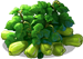 chayote_plant_layer3.png