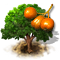 chequer-tree_icon_big.png