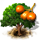 chequer-tree_icon_small.png