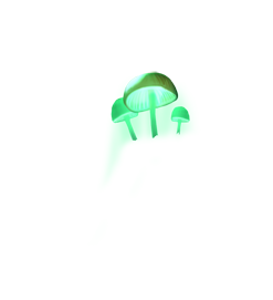 chlorophus_00.png