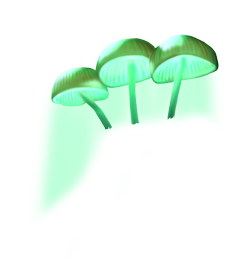 chlorophus_02.png