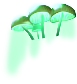 chlorophus_03.png