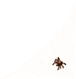 cobweb_1.png