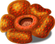 corpseflower_plant_layer3.png