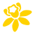 daffodil_icon_active.png