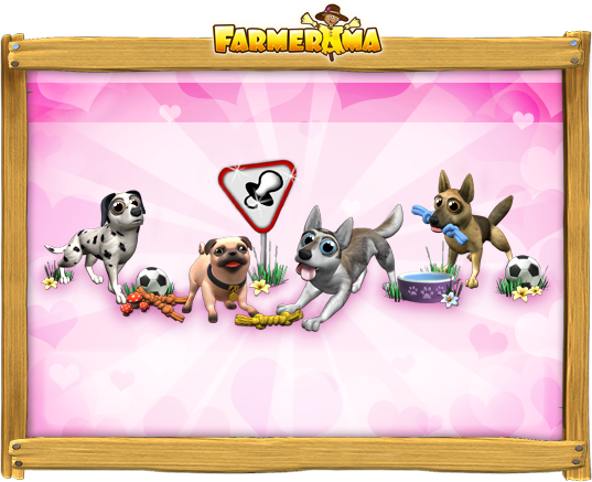 dogbreedingnov2015_news-bg_quest.png