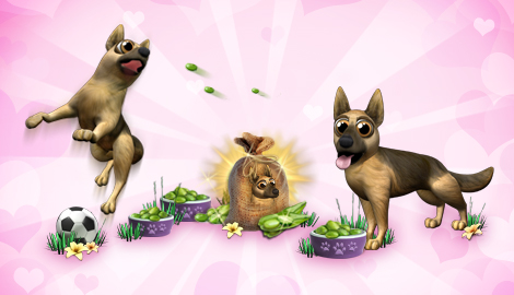 dogbreedingnov2015_pre-release_news_ui_dogfeed.jpg