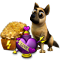 dogbreedingnov2015_shopsalepanel.png