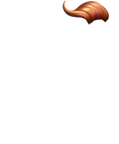 dogpageant_dog_dobermannhair.png