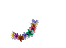 dogpageant_dog_pugflowernecklace.png
