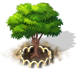 dogwood_tree_xl.png