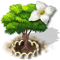 dogwood_xl_icon_big.png