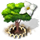 dogwood_xl_icon_small.png