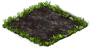 favolaschia_plant_1X1.png