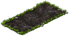 favolaschia_plant_1X2.png