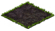 favolaschia_plant_2X2.png