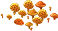 favolaschia_plant_layer1.png