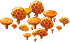 favolaschia_plant_layer2.png