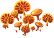 favolaschia_plant_layer3.png