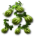 fingeredcitron_layer2.png